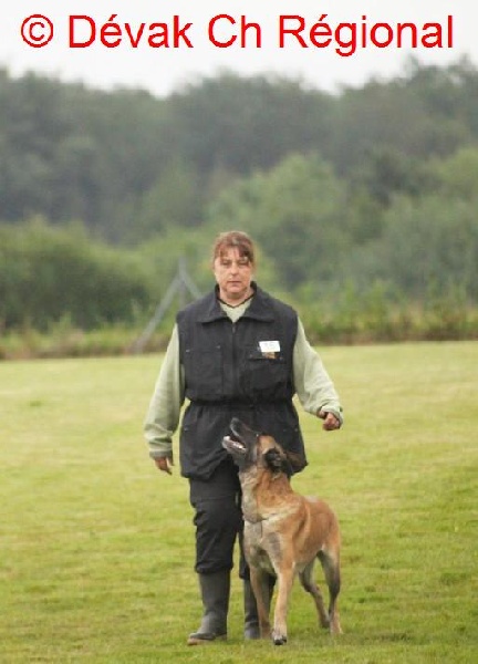 CH. Devak du Banc des Hermelles - Trés bon 270 points