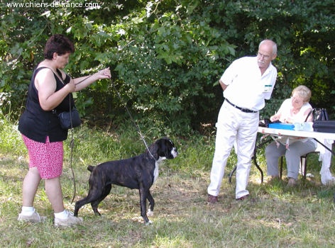 CH. Bella du laouvas - 1 EXCELLENT MEILLEUR JEUNE MEILLEUR DE RACE