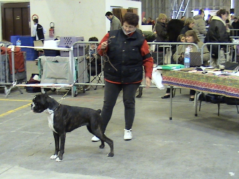 CH. Bella du laouvas - 2 EXCELLENT R CACS