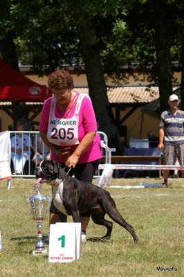 CH. Bella du laouvas - 1 EXCELLENT CACS R CACC
