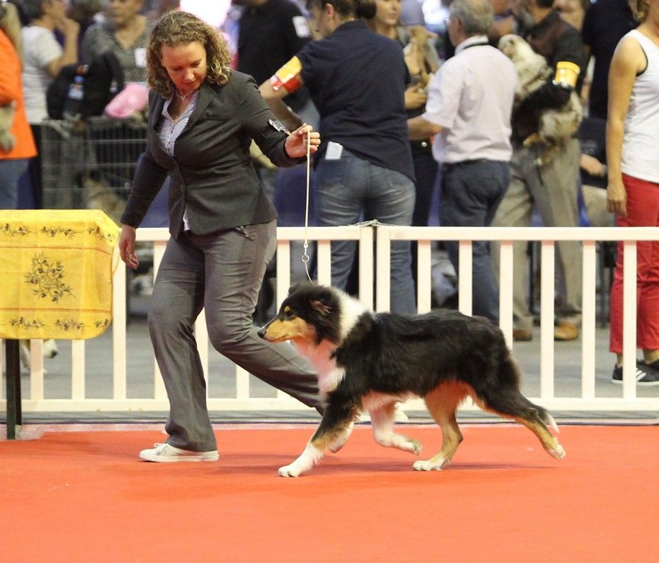 Proudly present you Of Blue Rimrock - TP baby BOB BABY