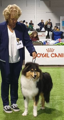 Proudly present you Of Blue Rimrock - 1TP puppy