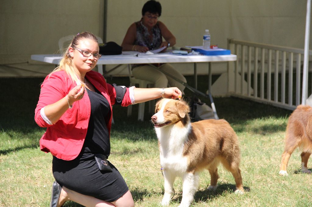 CH. My country road song shelby Of Blue Rimrock - 1ERE EXCELLENTE JEUNE FEMELLE ET BOBJ