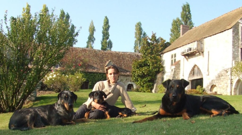 A'oumiak blue Des bergers de corail