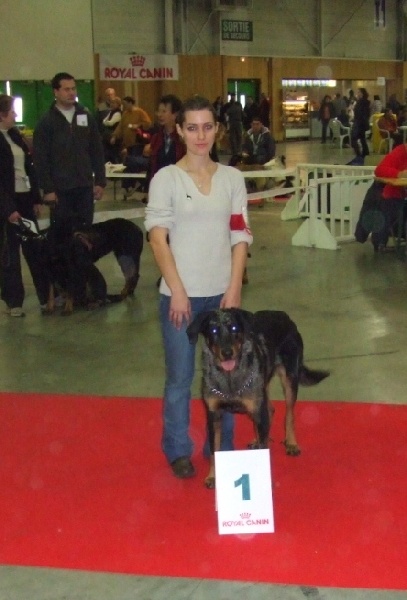 A'oumiak blue Des bergers de corail - 1ère excellente RCACS