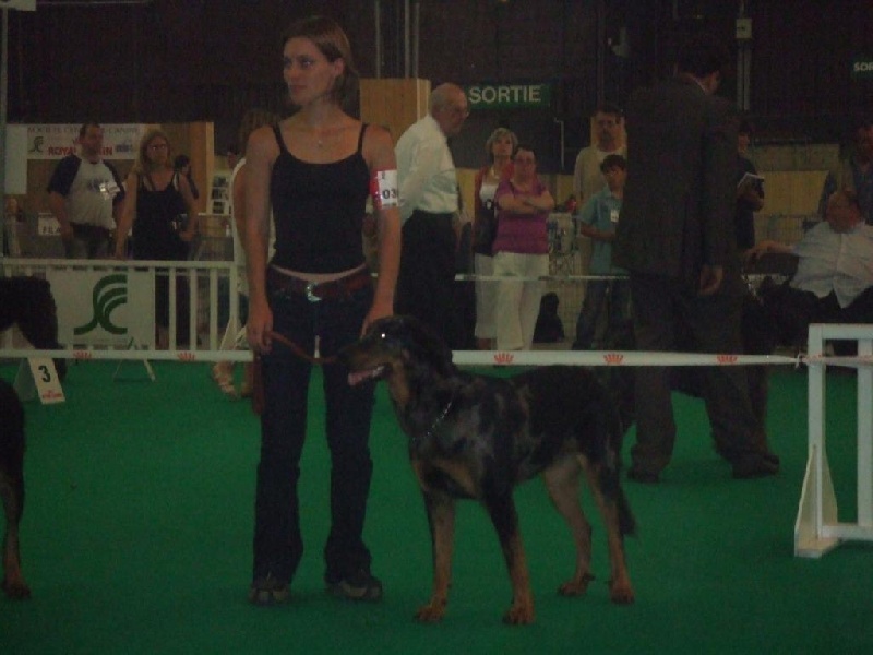 A'oumiak blue Des bergers de corail - 3ème excllent