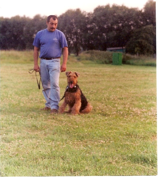 Publication : des sources du bois tonnin Auteur : denis jean-claude