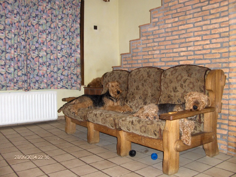 Publication : des sources du bois tonnin Auteur : denis jean-claude