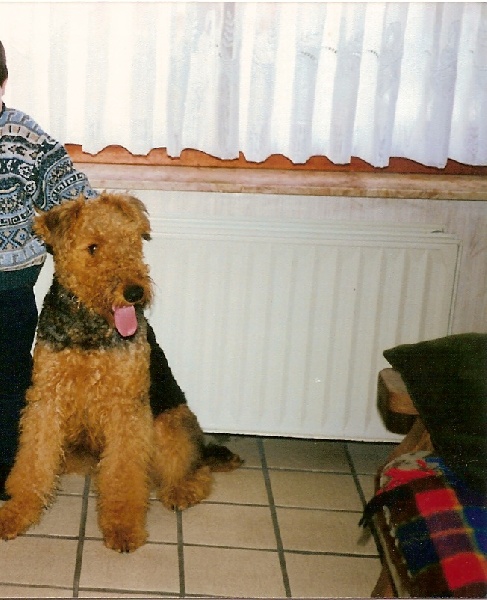 Publication : des sources du bois tonnin Auteur : denis jean-claude