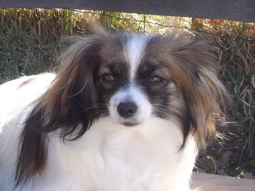 Publication : de la Vallée des Secrets