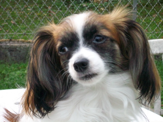 Publication : de la Vallée des Secrets