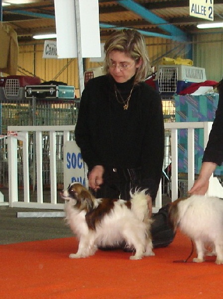 Divine idylle des charmes d'antan - 1° Excellent Meilleur Jeune