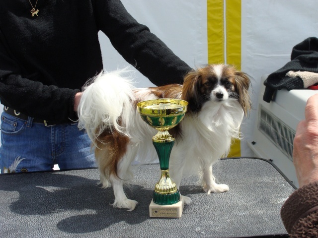 Divine idylle des charmes d'antan - 1° Excellent (classe jeune)