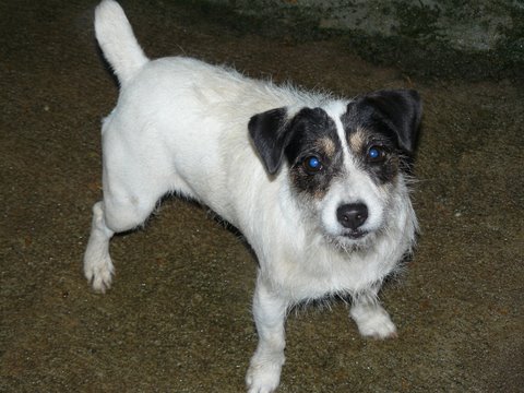 Publication : du Rocher de l'Enclume Auteur : Philippe BROHA