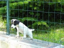 Publication : du Rocher de l'Enclume Auteur : Philippe BROHA