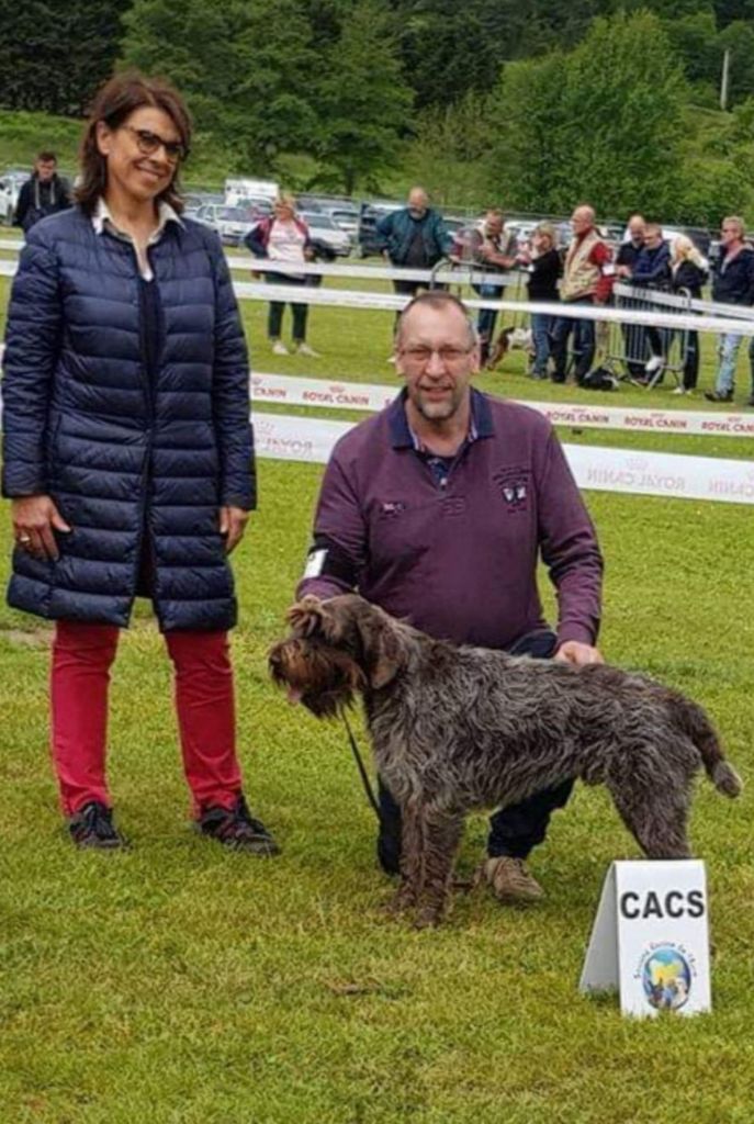 TR. Nividic (dit norton) du barbu des Carpates