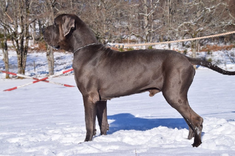 Publication : du Temple Sacré d'héloïse