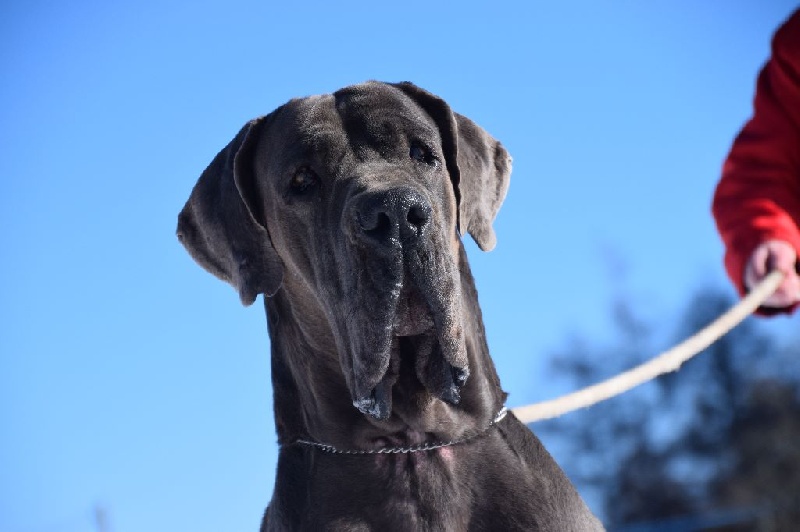 Publication : du Temple Sacré d'héloïse