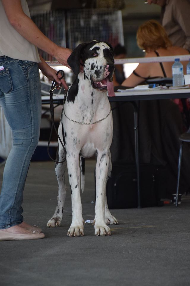 Jakeza d'Ochretolievaltt