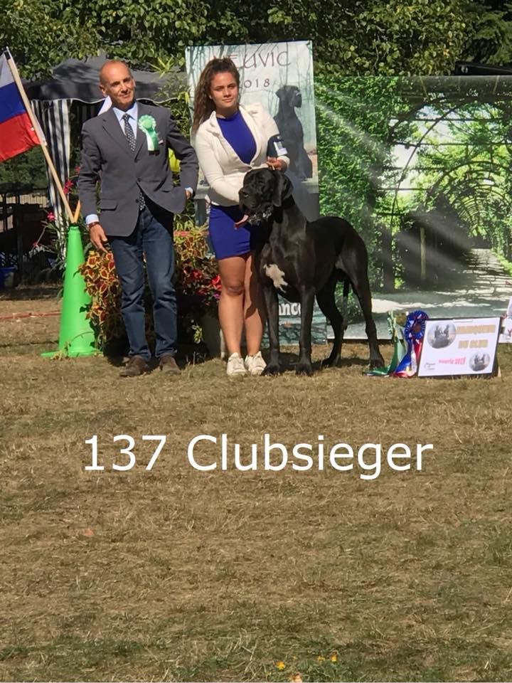 CH. Ladislav d'Ochretolievaltt - 1 EXCELLENT CACS CHAMPION DU CLUB