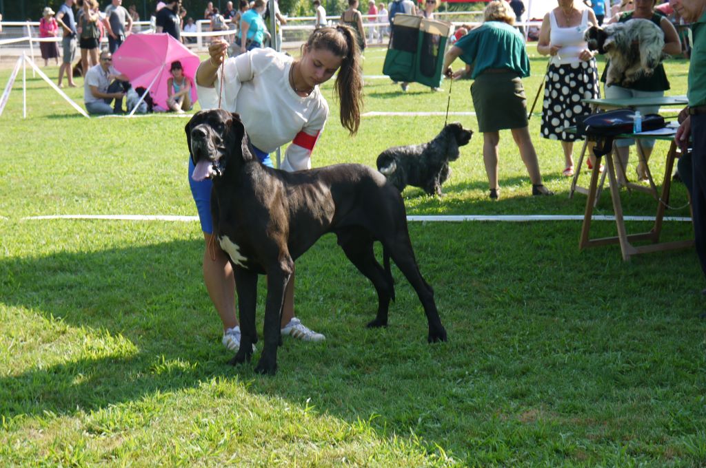 CH. Ladislav d'Ochretolievaltt - 2 EXCELLENT RCAC