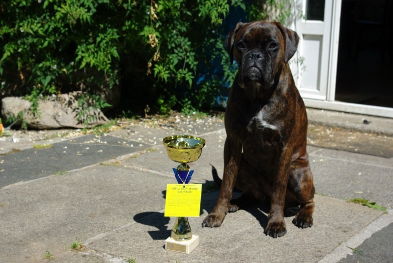 G'ven De l'Ecume De Nacre - meilleur de race jeune