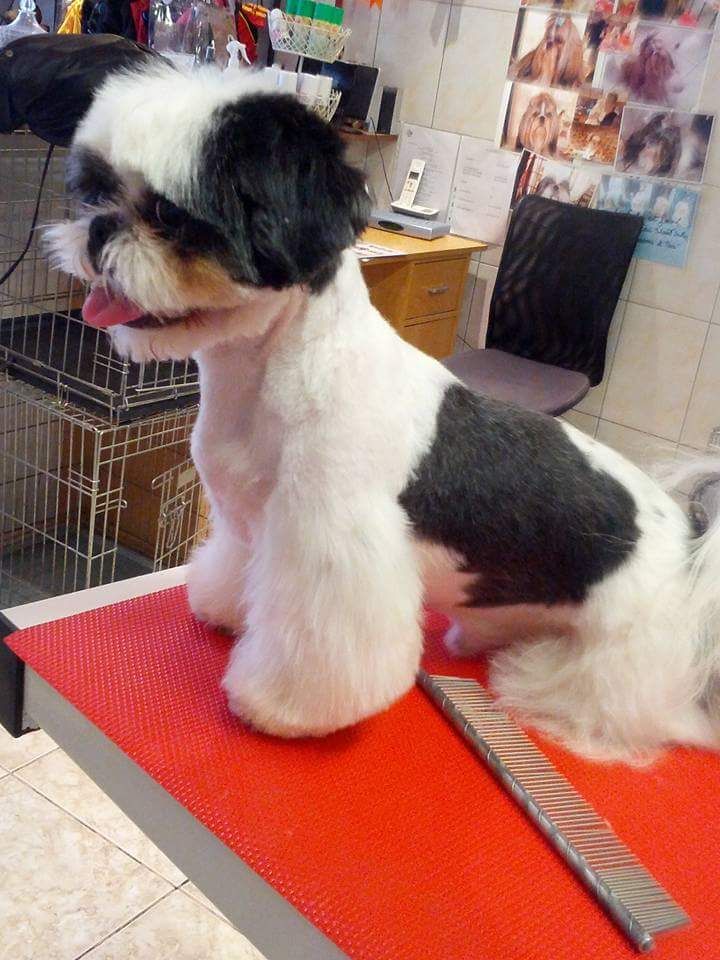 Publication : du Puits d'Eloquengo Auteur : B. Marion