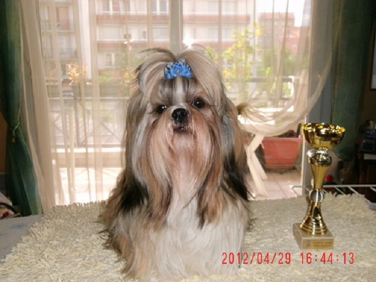 Getro du Puits d'Eloquengo - 2ème Excellent