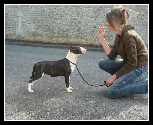 Hoodstar Crazy in love 