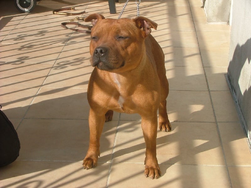 Publication : of Red Twister