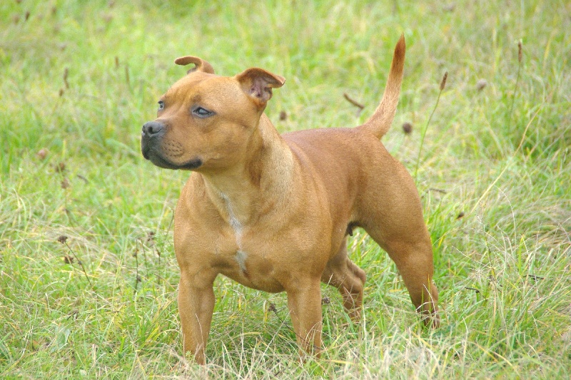 Publication : of Red Twister