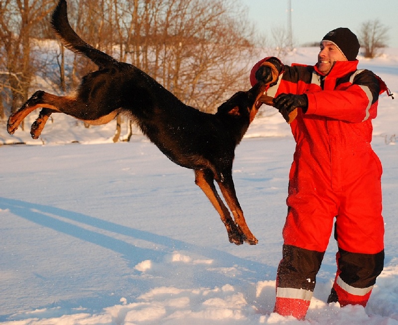 Jazz du Fond des Camps