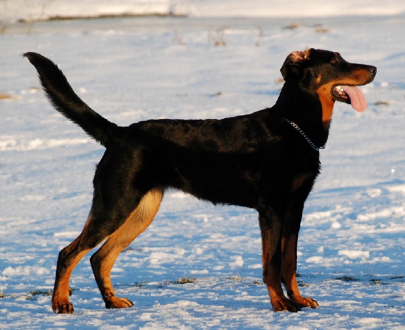 Jazz du Fond des Camps