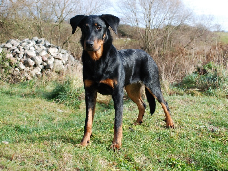 Jazz du Fond des Camps