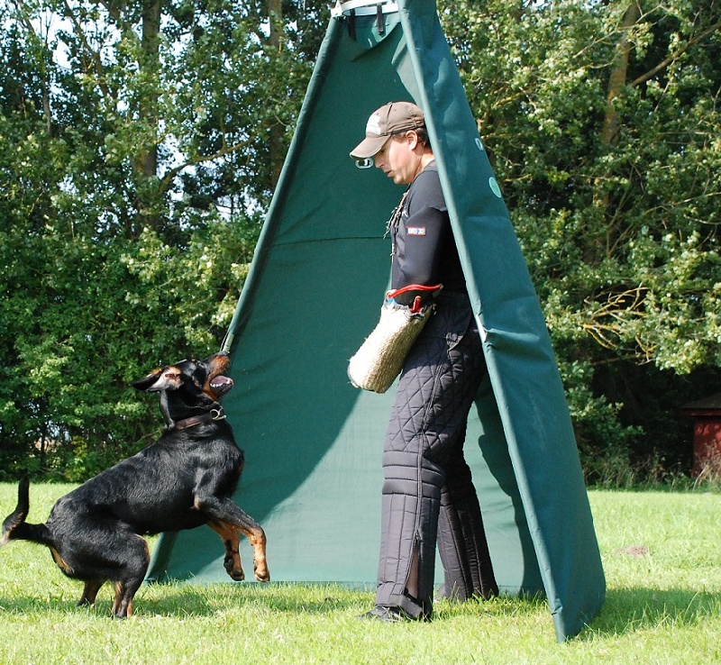 Jazz du Fond des Camps