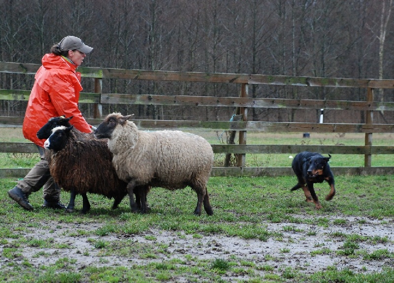 Jazz du Fond des Camps