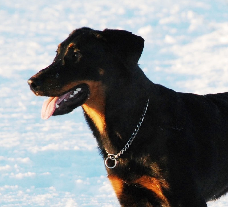 Jazz du Fond des Camps