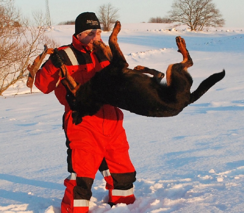 Jazz du Fond des Camps