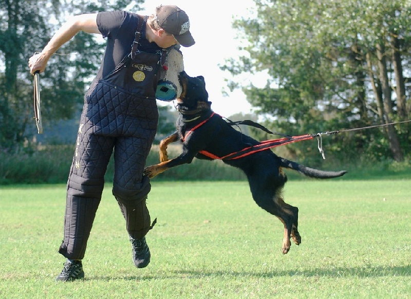 Jazz du Fond des Camps