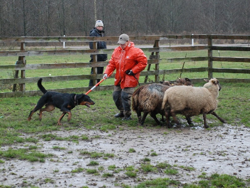 Jazz du Fond des Camps