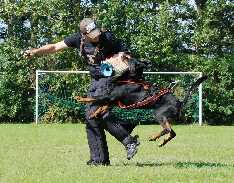Jazz du Fond des Camps