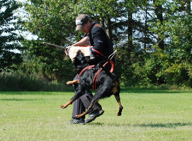 Jazz du Fond des Camps