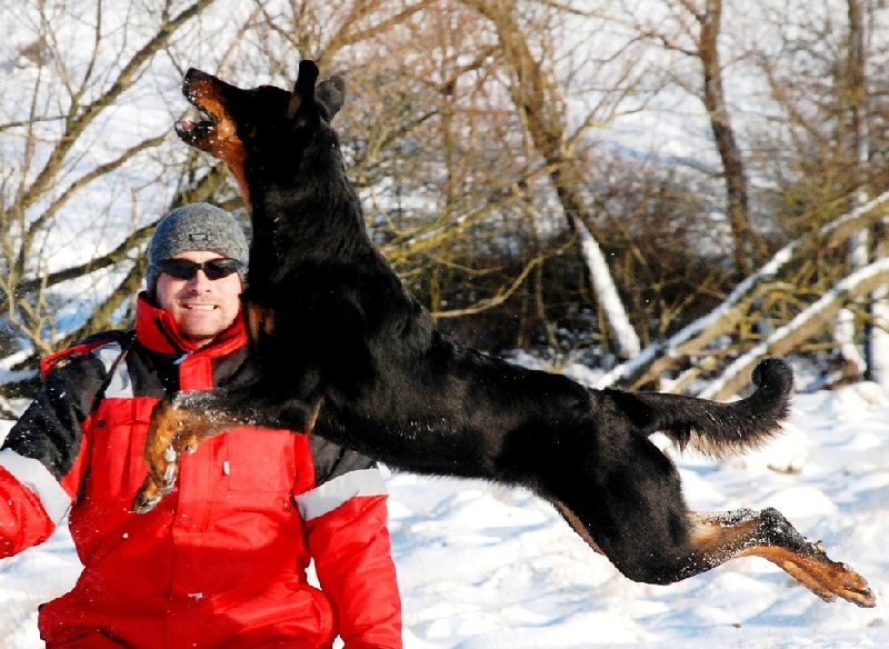 Jazz du Fond des Camps