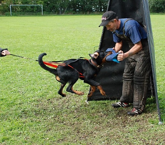 Jazz du Fond des Camps