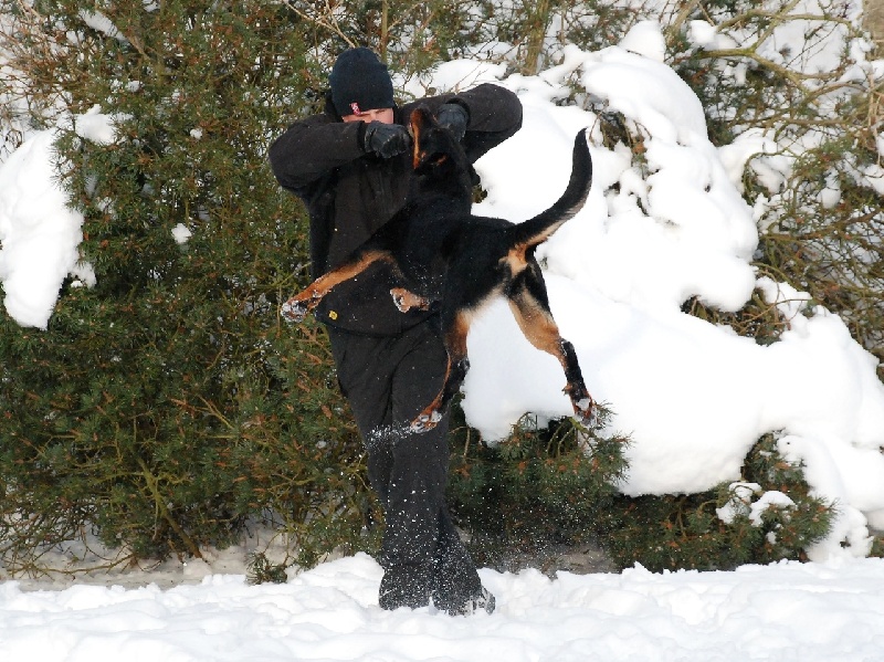 Jazz du Fond des Camps