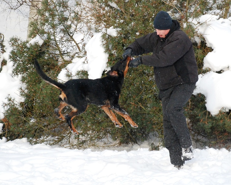 Jazz du Fond des Camps