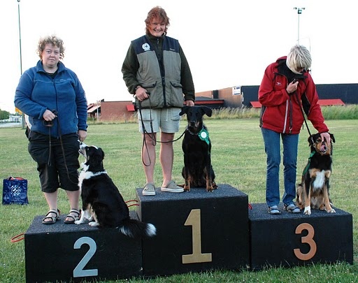 Unique de la vallee des marronniers Grand Lutin - Excellent 97/100 (1:er/25)