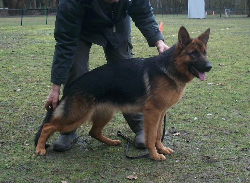 Publication : du Sol Invictus Auteur : Libert Aurélien