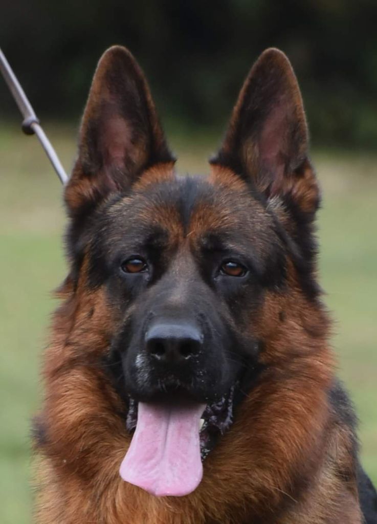 Publication : du Sol Invictus