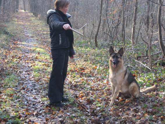 Publication : du Sol Invictus Auteur : Aurélien Libert